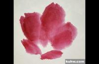 国画杜鹃花的画法