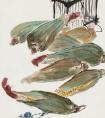国画玉米作品画法欣赏