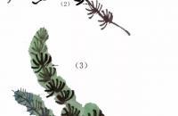 水草马鞭草的写意画法