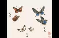 国画蝶、蜂画法教程