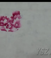徐湛牡丹花头画法视频
