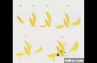 国画写意迎春花画法教程