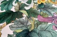 菊花蓝蝶的工笔花鸟教程