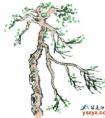 山水画中的树木――枝干画法