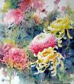 中国花卉绘画示范――如何用水彩颜料菊花