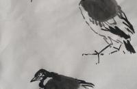 白脸山雀和凌霄花的画法