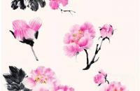 芙蓉花详细画法步骤图解