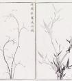 《兰斋画谱》欣赏——竹子画法教程