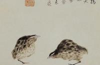鹌鹑的画法以及常用构图
