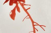 国画雁来红的画法