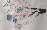 《鸳鸯的画法》——鸳鸯结构分析和画法