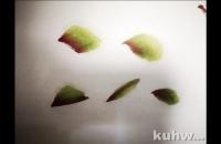 牡丹叶子的画法