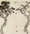 怎样出枝，画树