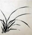 兰花叶画法