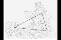 教你6种常见牡丹构图法