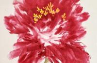 国画芍药花的画法