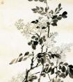 钱载《丁香图》 钱载国画作品-清