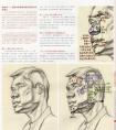 素描头像步骤刻画详解教程