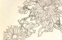 工笔菊着色分步示范 (范画二)