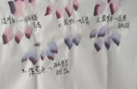 紫牡丹和白头翁的画法