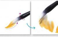 3种牡丹写意画法图解