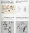 速写知识-人体结构讲解