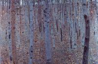 古斯塔夫·克里姆特-布亨海姆1902