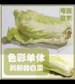 色彩静物白菜画法