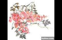 写意紫藤的画法步骤 怎么画写意紫藤