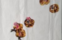 《金秋硕果》——白脸山雀和石榴画法