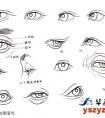 工笔人物画眼睛结构变化图