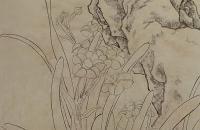 国画水仙鹡鸰的画法