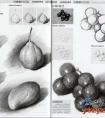 素描静物：蔬菜、水果--结构步骤讲解