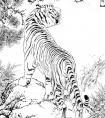 画虎白描图集