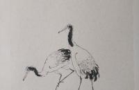 仙鹤和梅树的画法