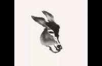 国画毛驴的写意画法