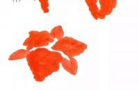 萱草（忘忧草）的写意画法