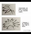 菊花怎么画  国画写意菊花画法