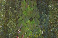 古斯塔夫·克里姆特（Gustav Klimt）-向日葵 1907