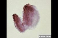 国画藤萝花的画法