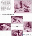 静物素描的明暗与色调