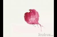 写意萝卜绘画教程