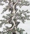 国画树木的绘画技法