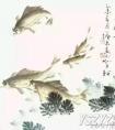 写意鲤鱼画法详解