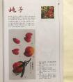 国画写意桃子画法