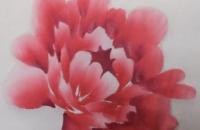 «富贵花开»牡丹绘画过程解析