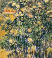 梵高【灌木开花】作品--  荷兰
