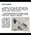 国画翠鸟入门画法教程
