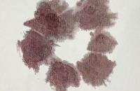 国画紫薇花的小写意画法