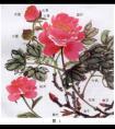 怎样画牡丹--国画牡丹技法 1